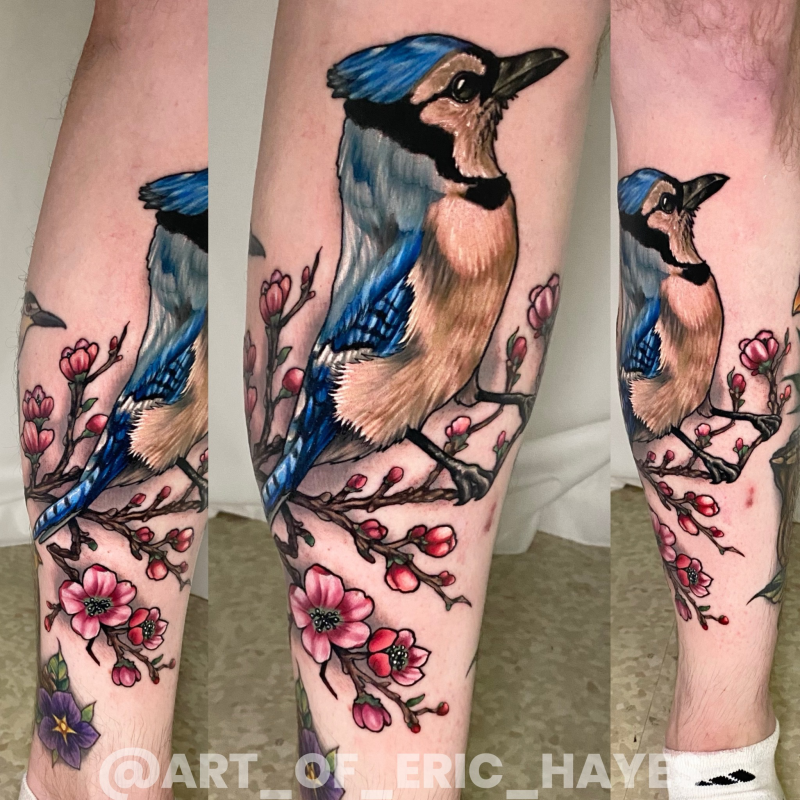 Bluejay